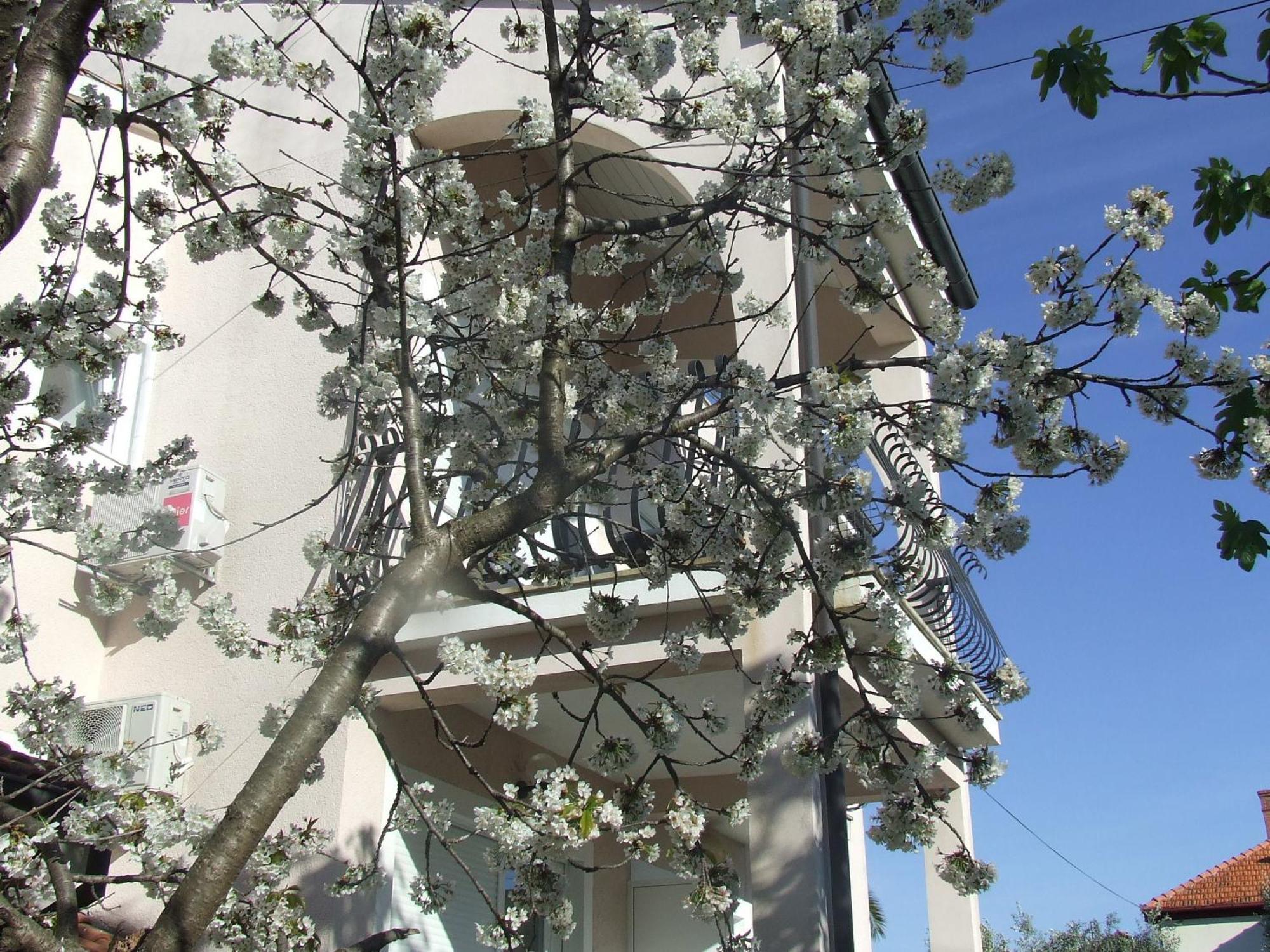 Villa Dalmatia Задар Стая снимка